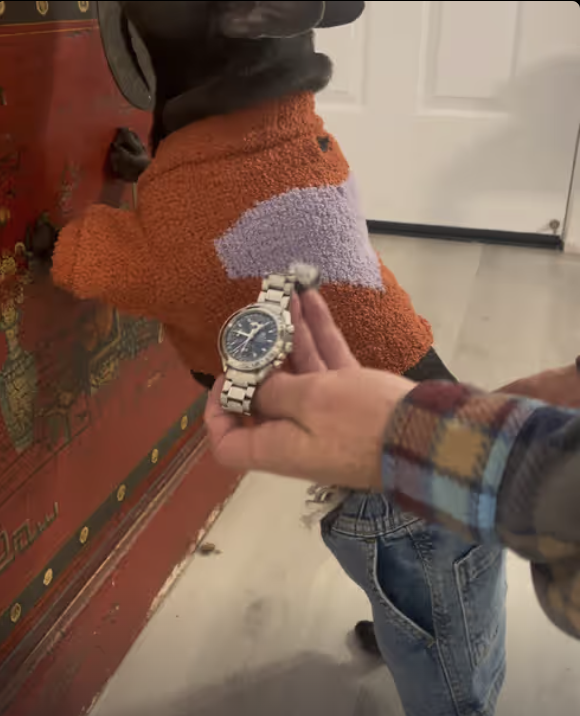 Frenchie steals my belongings and denies it was her !!!